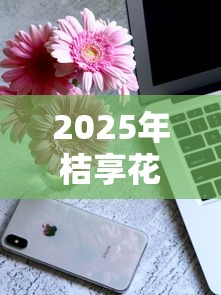 2025年桔享花好下款吗,公布5个正规苹果id贷口子 2025年桔享花好下款吗,公布5个正规苹果id贷口子