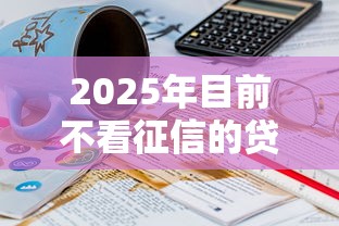 2025年目前不看征信的贷款有:推荐5个真正不查征信的贷款平台