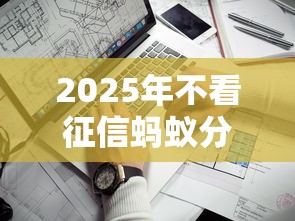 2025年不看征信蚂蚁分的口子？看看这5个网贷平台哪些靠谱