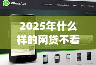 2025年什么样的网贷不看征信,整合五个黑户0门槛贷款app