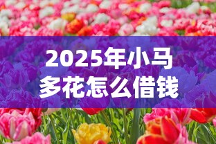 2025年小马多花怎么借钱?试试这5个18岁的贷款平台