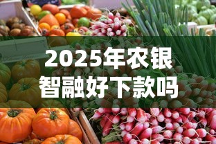 2025年农银智融好下款吗?看看这五个征信花了也能下款的平台 2025年农银智融好下款吗?看看这五个征信花了也能下款的平台