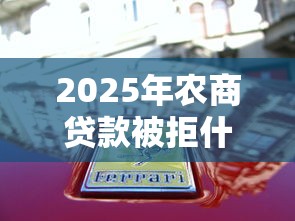 2025年农商贷款被拒什么样,看看这五个正规汽车抵押贷款平台
