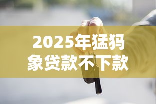 2025年猛犸象贷款不下款了：梳理5个京东借钱平台