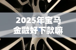2025年宝马金融好下款嘛：看看这五个私借口子