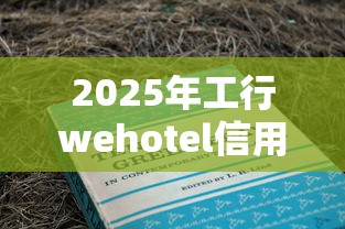 2025年工行wehotel信用卡不通过：看看这5个65岁稳放款口子