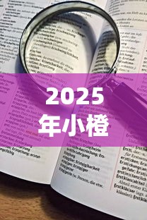 2025年小橙子好下款吗：看看这五个社保贷款平台
