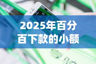 2025年百分百下款的小额贷款是什么？分享五个花户3000秒下款app