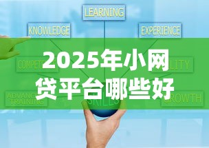 2025年小网贷平台哪些好下款：罗列五个网贷借款平台好贷
