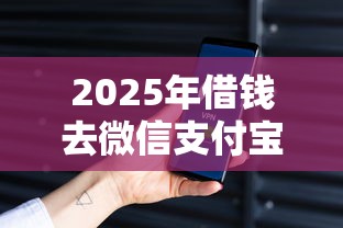 2025年借钱去微信支付宝安全吗：公布五个私人贷款平台