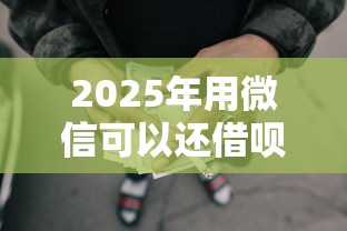 2025年用微信可以还借呗吗？整理五个不看征信负债的网贷百分百下款软件