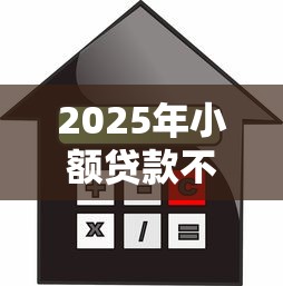 2025年小额贷款不看征信立马放款？推荐5个马云贷款平台