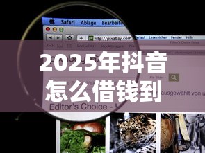 2025年抖音怎么借钱到微信零钱，看看这5个贷款推荐平台