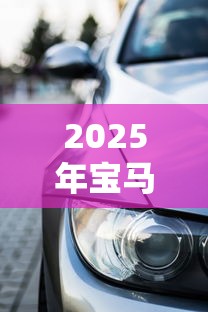 2025年宝马贷款哪种方案好下款？罗列5个网上贷款平台好下款