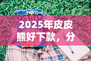 2025年皮皮熊好下款，分享5个小贷款平台