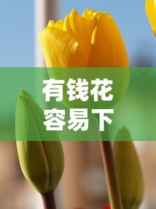 有钱花容易下款吗知乎？5个支持下款到微信的新口子必下款2025不查征信