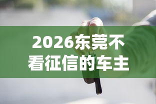 2026东莞不看征信的车主贷，差2千元就选这7个平台