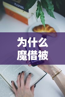 为什么魔借被拒（最新发布！）9个大学生可以使用的平台