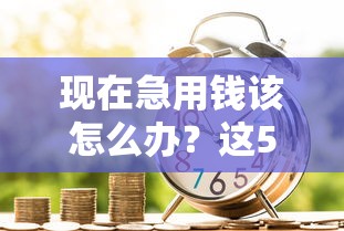 现在急用钱该怎么办？这5个贷款平台哪家好值得一试