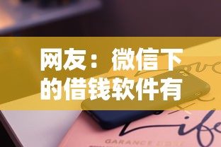 网友：微信下的借钱软件有哪些？求介绍几款必下款的贷款平台