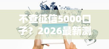 不查征信5000口子？2026最新测评10个小微企业网上贷款平台