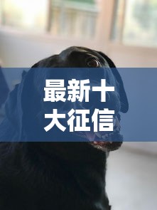 最新十大征信黑了平台能借到钱，专治黑户都能下的口子叫什么来着