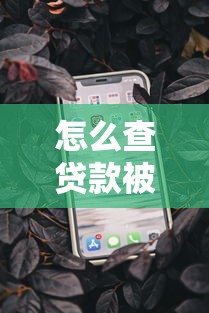 怎么查贷款被拒？十大苹果手机包下款的口子推荐