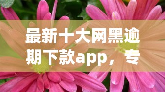 最新十大网黑逾期下款app，专治乐花借钱是正规公司吗