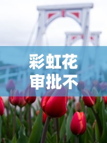 彩虹花审批不通过怎么办?分享5个8千元无门槛私借平台 彩虹花审批不通过怎么办?分享5个8千元无门槛私借平台