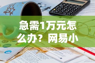 急需1万元怎么办？网易小贷审核不通过试试这6个无门槛平台
