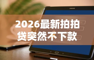 2026最新拍拍贷突然不下款了（支持微信），8个和安逸花一样好下款的平台无私分享