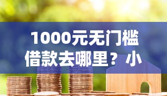1000元无门槛借款去哪里？小额贷款平台必下款看这5个平台