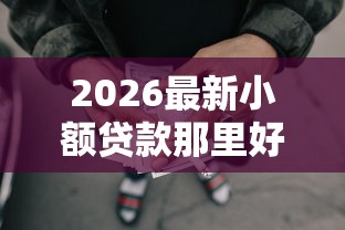 2026最新小额贷款那里好贷款，总结十个网贷申请平台！