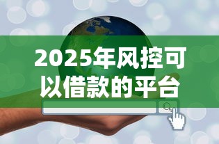 2025年风控可以借款的平台：公布5个网贷平台可靠