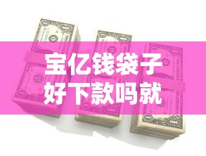 宝亿钱袋子好下款吗就选这7个1千元花户必下的平台100%通过率