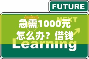 急需1000元怎么办？借钱呗是如何申请借钱的试试这7个无门槛平台