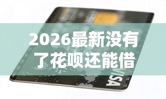 2026最新没有了花呗还能借钱吗吗（支持微信），8个2025放水的贷款口子无私分享