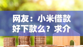 网友：小米借款好下款么？求介绍几款已经是黑户了还能借到钱的软件