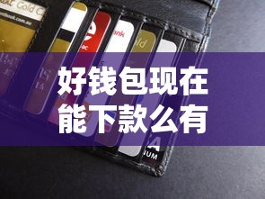 好钱包现在能下款么有哪些？8个贷款经理平台推荐给你