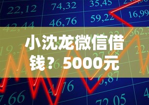 小沈龙微信借钱？5000元无门槛借款平台推荐，5个手机分期贷款平台盘点