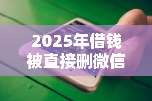 2025年借钱被直接删微信怎么办，看看这5个不看征信网贷平台哪些好下款