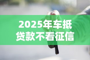 2025年车抵贷款不看征信吗？试试这五个贷款期限长的平台