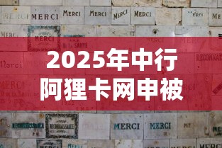 2025年中行阿狸卡网申被拒：分享五个好用的贷款平台