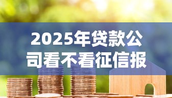 2025年贷款公司看不看征信报告：整理5个2025老赖借款口子