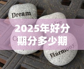 2025年好分期分多少期好下款，整理五个黑户必过的贷款平台