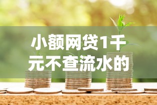 小额网贷1千元不查流水的小额度贷款口子，急用钱哪里可以快速借到的5个平台介绍