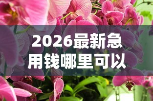 2026最新急用钱哪里可以快速借到（支持微信），7个超级花户下款的口子无私分享