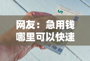网友：急用钱哪里可以快速借到？求介绍几款借钱平台好