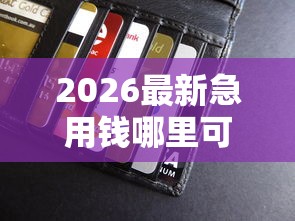 2026最新急用钱哪里可以快速借到，总结十个学生贷款平台！