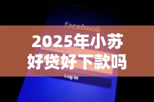 2025年小苏好贷好下款吗正规吗：整理5个各种黑还能下款的口子